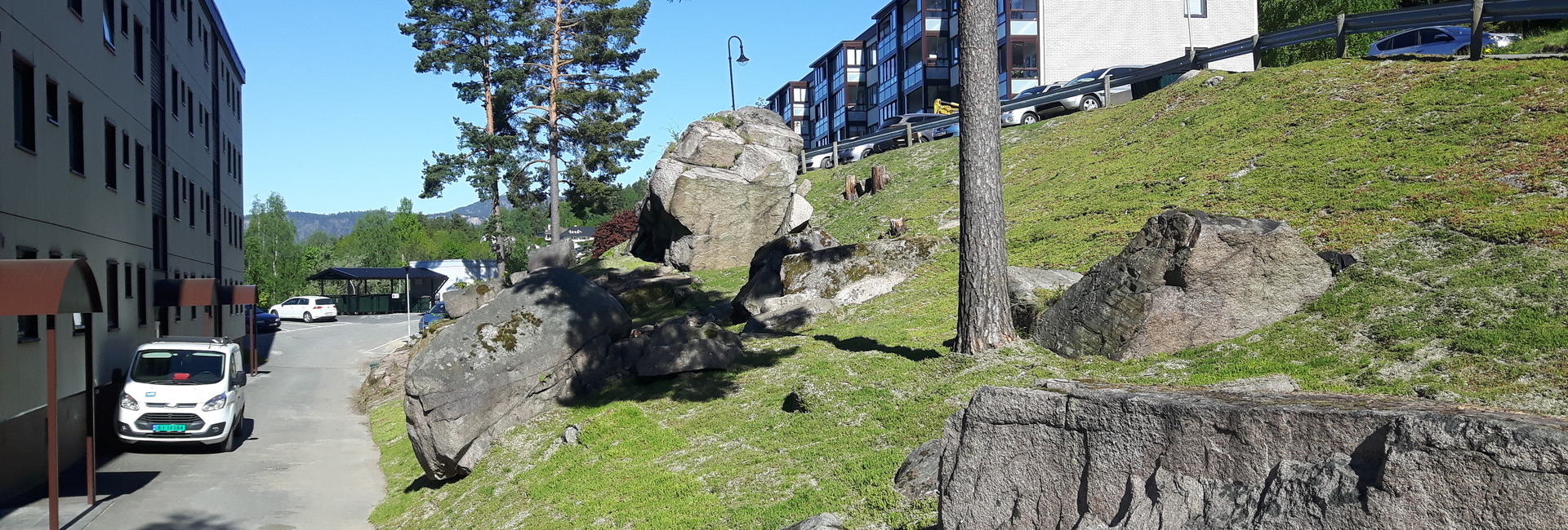 20170524_091640.jpg